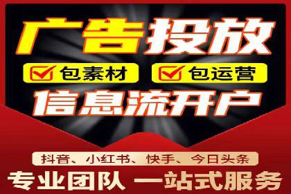 竞价广告的创意与执行：某快消品的营销突破